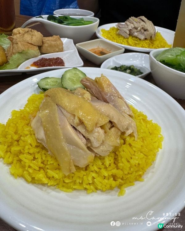 【元朗．卡米菲】元朗海南雞🐔  食過未？😋