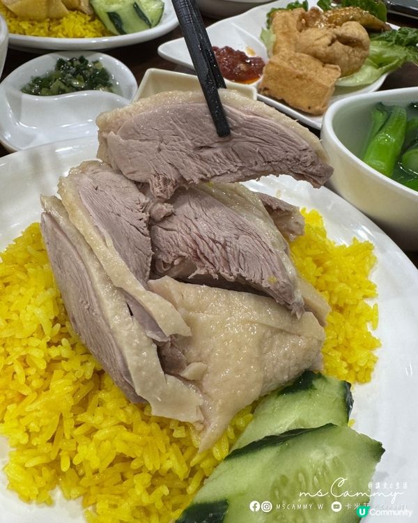 【元朗．卡米菲】元朗海南雞🐔  食過未？😋