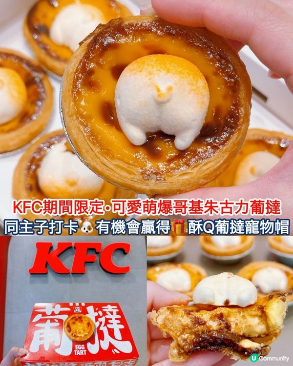 🐶🍫 可愛萌爆哥基Pat Pat葡撻🤤