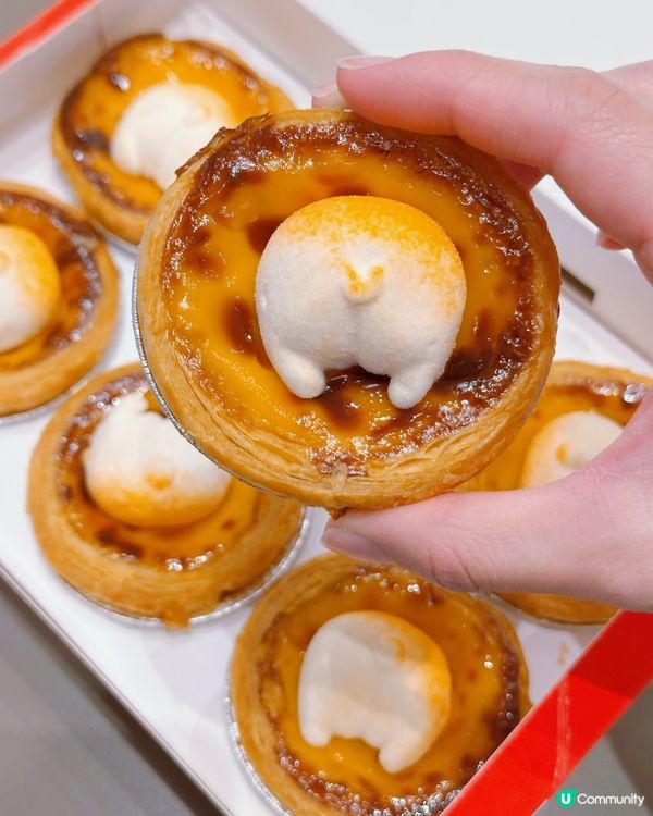 🐶🍫 可愛萌爆哥基Pat Pat葡撻🤤