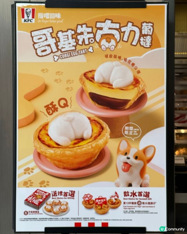 🐶🍫 可愛萌爆哥基Pat Pat葡撻🤤