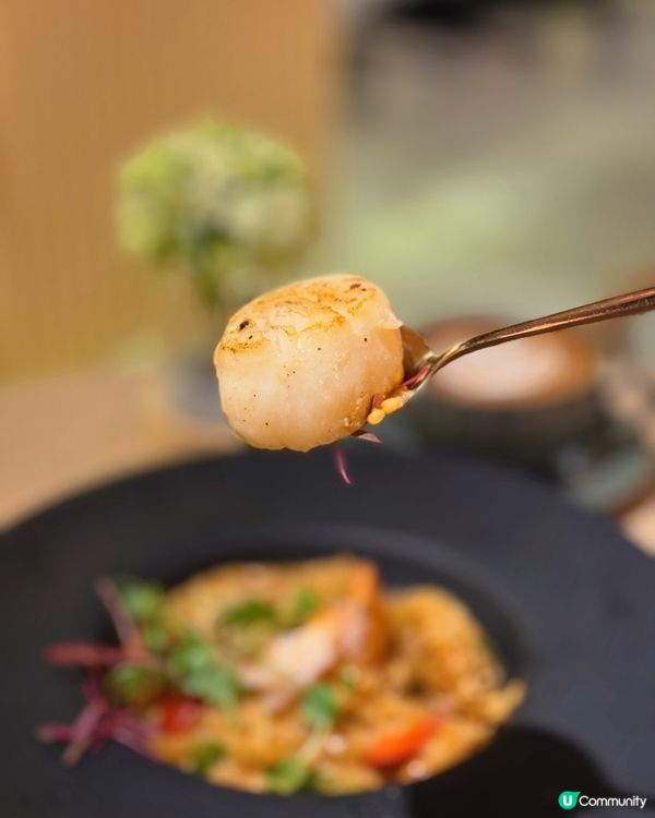 【葵涌 ✦ 🌿舒適隱世Cafe☕️✨】