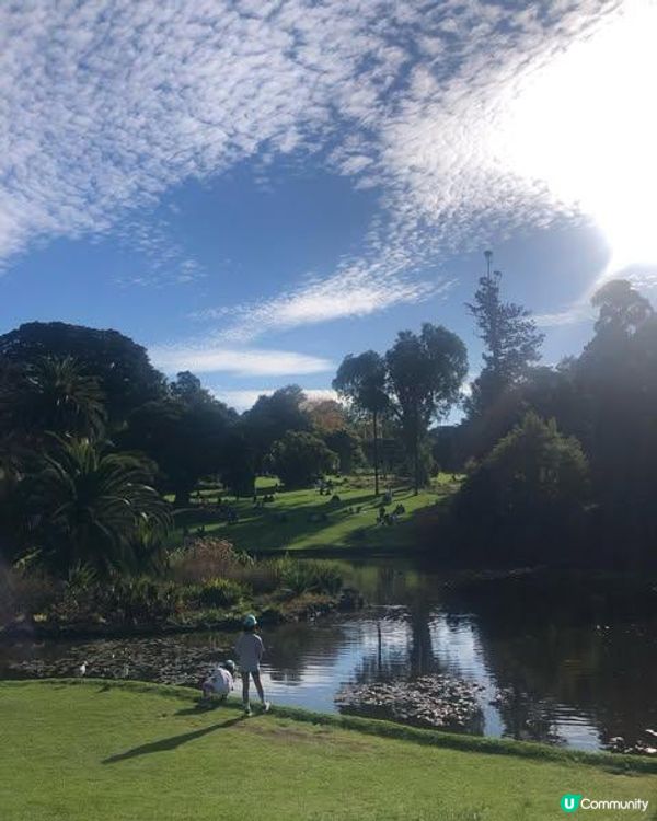 澳洲墨爾本自由行—到植物園散步一個下午