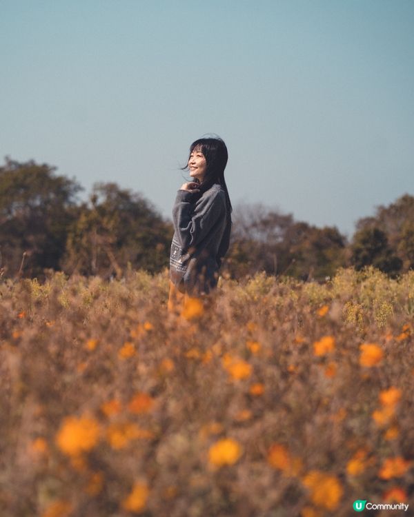 放假郊外走走 ~ 塱原自然生態公園