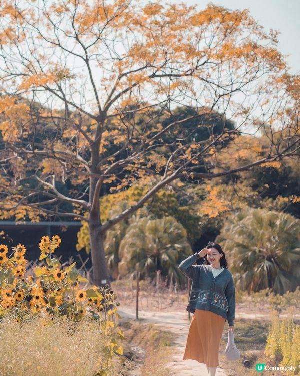 放假郊外走走 ~ 塱原自然生態公園