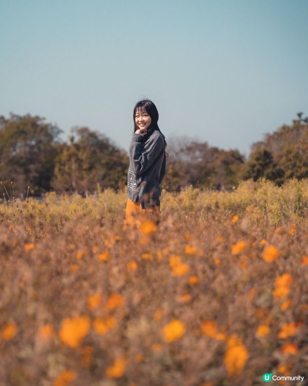 放假郊外走走 ~ 塱原自然生態公園