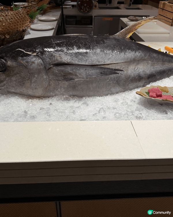 2024年12月31號同男朋友去左海洋公園富麗敦酒店星耀廊參...