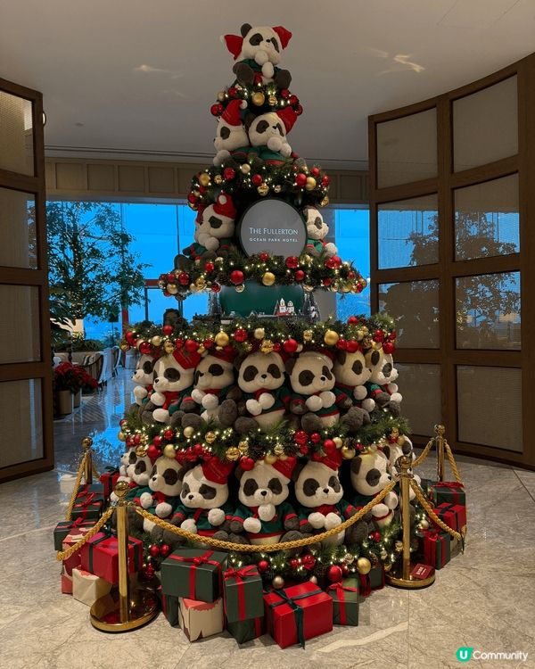 2024年12月31號同男朋友去左海洋公園富麗敦酒店星耀廊參...