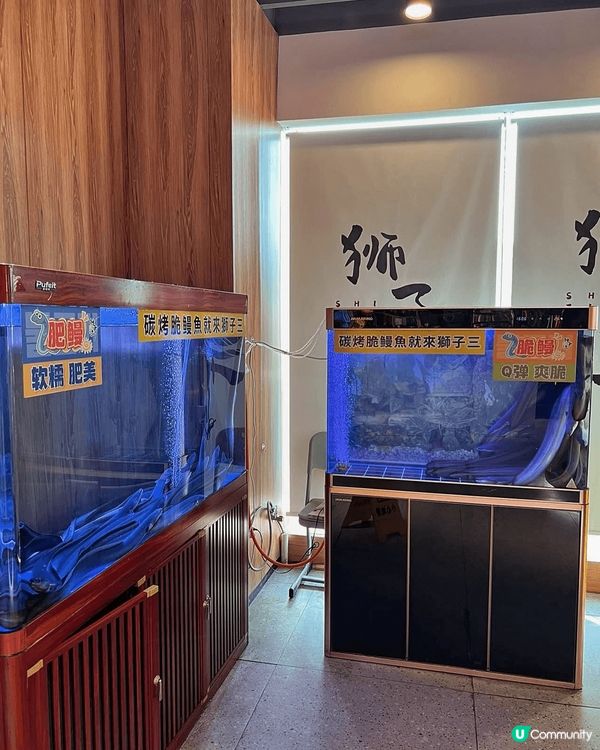 深圳獅子三•脆鰻魚烤肉 食評：鰻魚愛好者的美食天堂 🤤