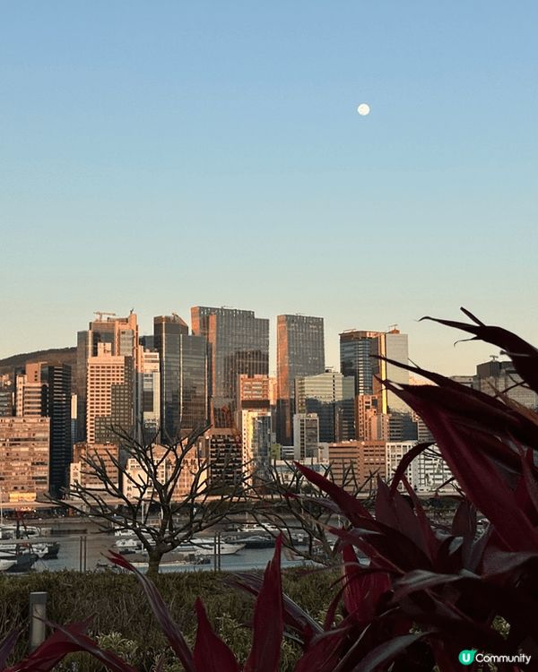 位於啟德郵輪碼頭的親子餐廳，除咗可以在郵輪碼頭公園觀看日落、...