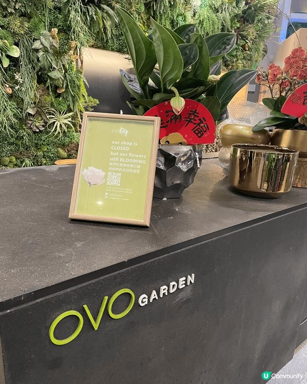 Ova cafe,  高品質的素食料理，每道菜色香味俱全，價...