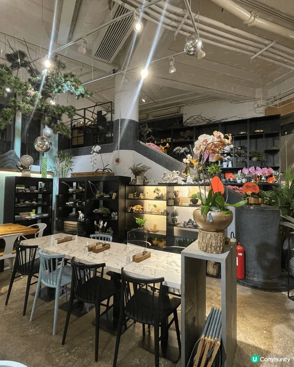 Ova cafe,  高品質的素食料理，每道菜色香味俱全，價...