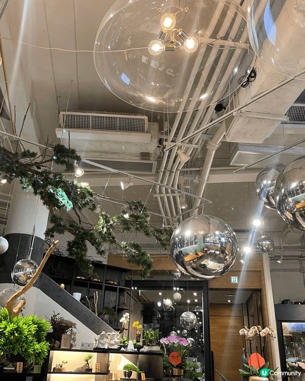 Ova cafe,  高品質的素食料理，每道菜色香味俱全，價...