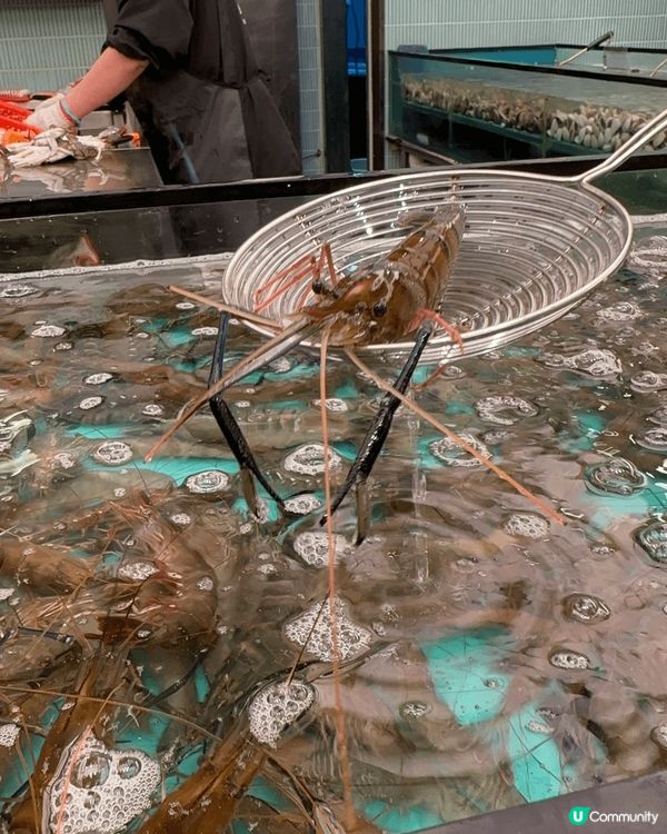 終於都試咗近排人氣餐廳千海水產，有多款蝦、鮑魚、蜆可以自己即...