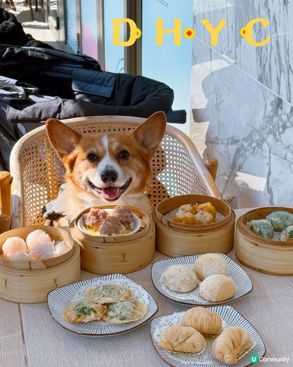 海景嘆茶🐶 將軍澳寵物友善餐廳