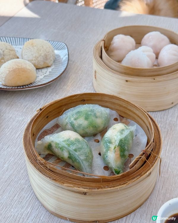 海景嘆茶🐶 將軍澳寵物友善餐廳