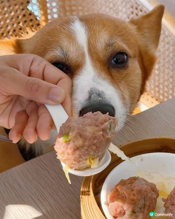 海景嘆茶🐶 將軍澳寵物友善餐廳