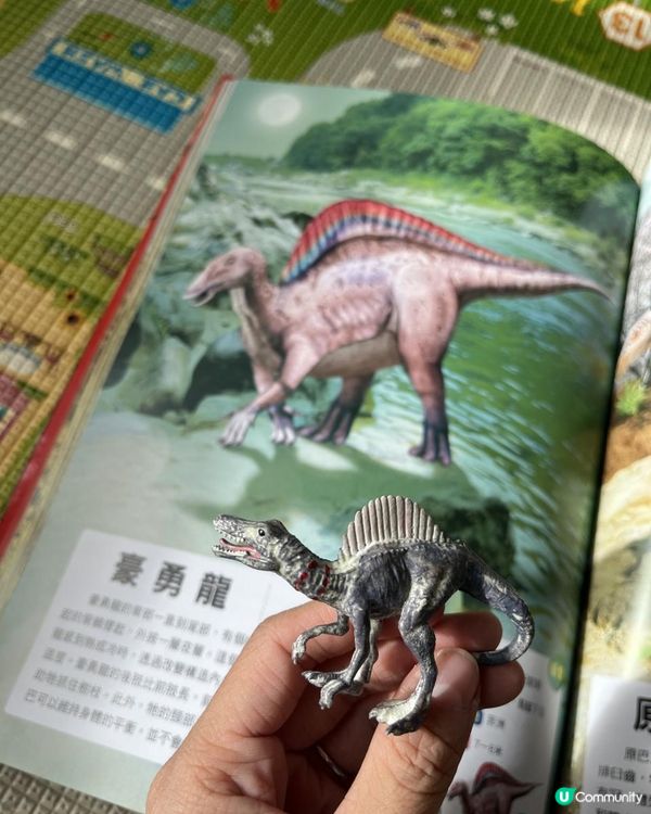 精選101隻恐龍 🦕 