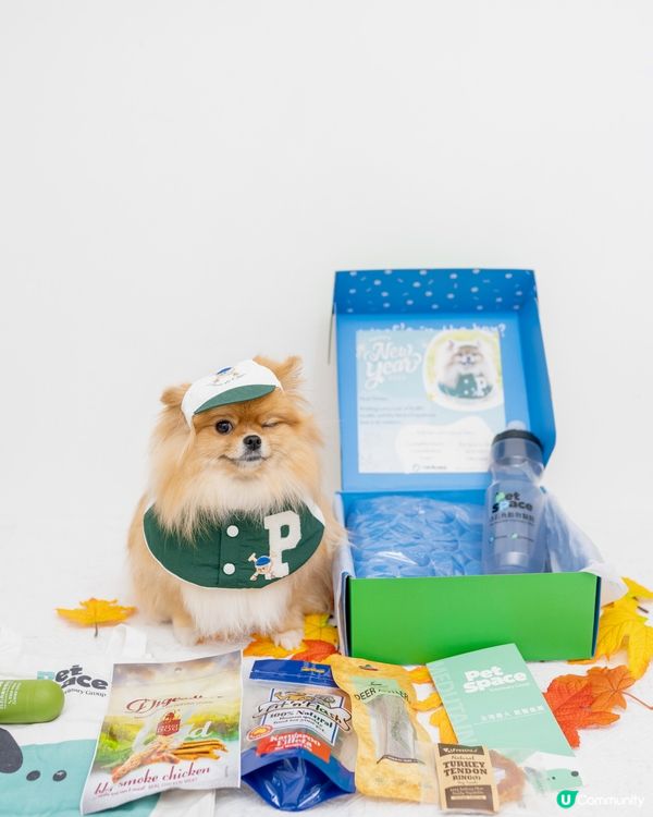 寵物診所Pet Space分佈全港多區🐾