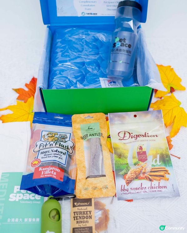 寵物診所Pet Space分佈全港多區🐾