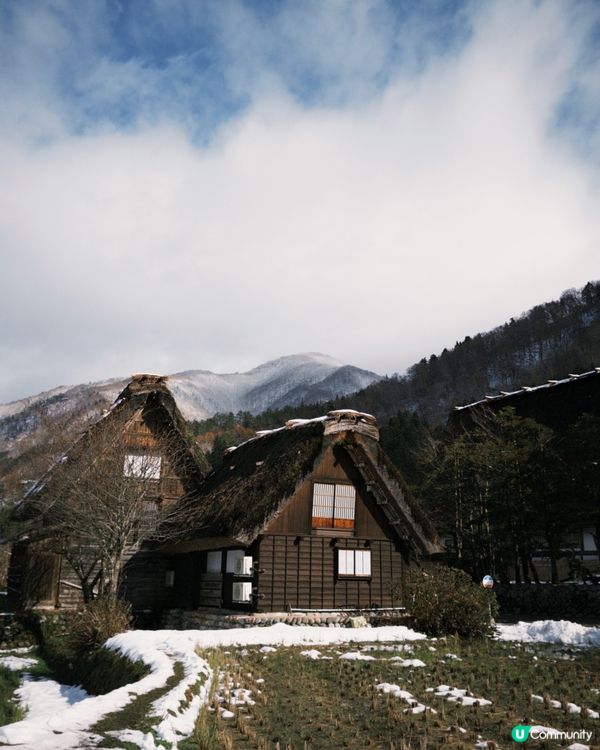 白川鄉 ｜合掌村 ❄️🍮