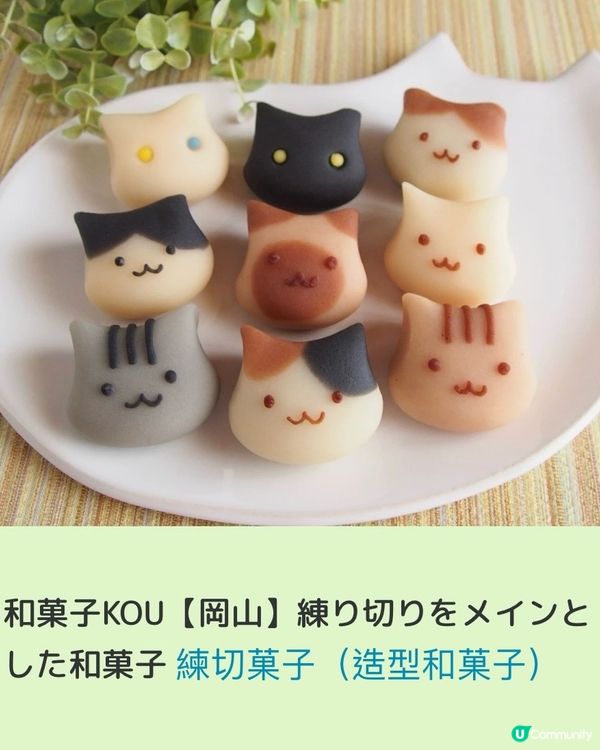 🕊️文青天堂🕊️日本手作達人攤檔超1000檔集結‼️連體驗及美食檔