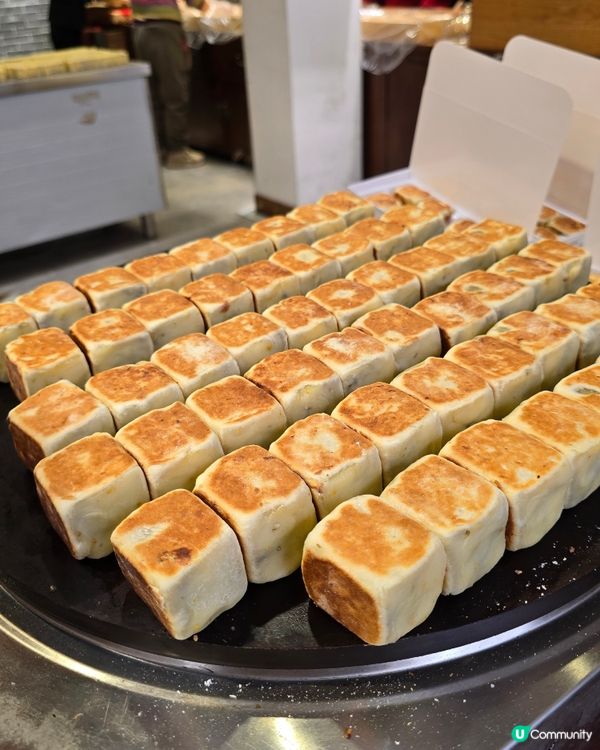 中山孫文西路步行街，打卡必去！🏮🎉