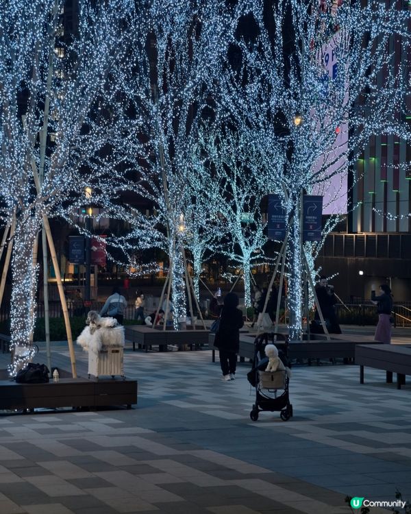 ## 啟德新地標🤩  打卡一流📸