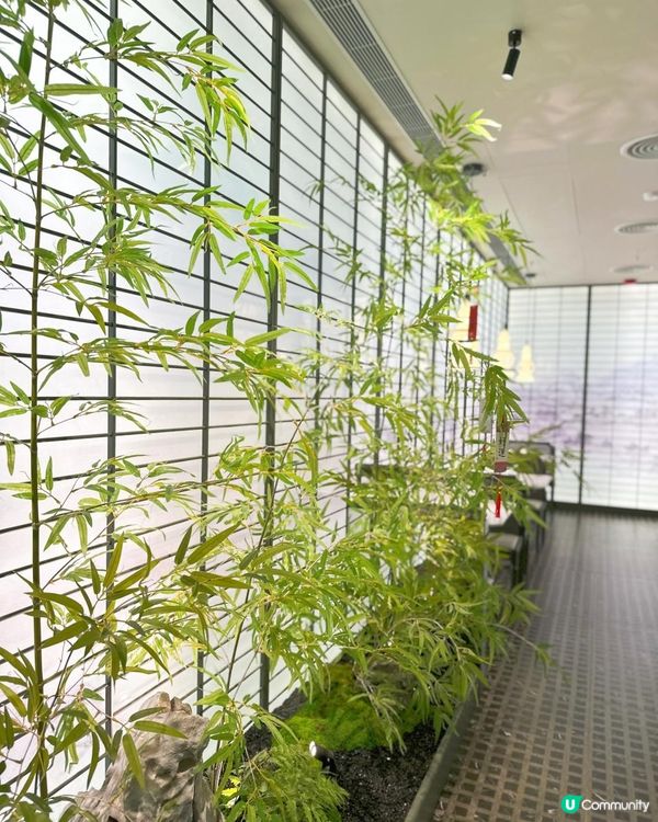 深人氣 綠茶餐廳 apm有啦