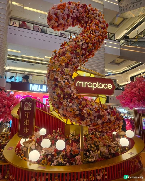 龍飛鳳舞過蛇年