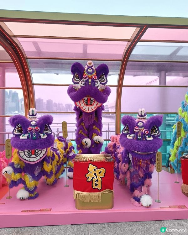 想睇彩虹醒獅同旺足成年就要去海港城喇！！ 摸摸個獅頭包保鴻運...