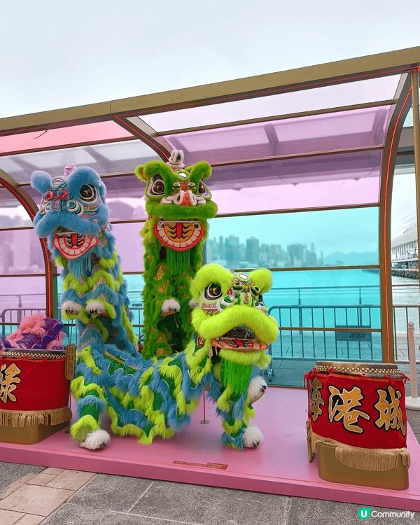 想睇彩虹醒獅同旺足成年就要去海港城喇！！ 摸摸個獅頭包保鴻運...