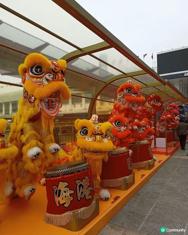 想睇彩虹醒獅同旺足成年就要去海港城喇！！ 摸摸個獅頭包保鴻運...