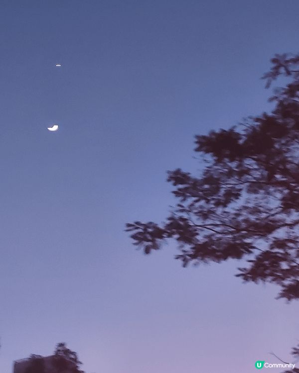 藍田夜景，台灣日出，麥當勞50週年