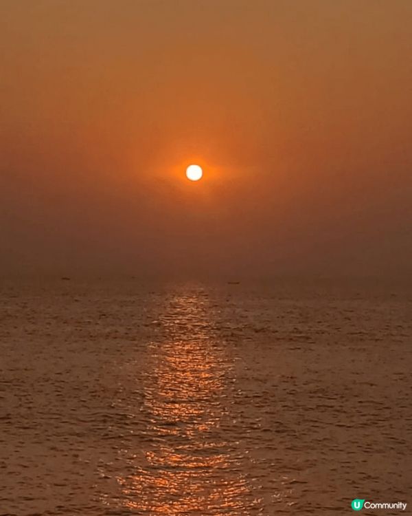 藍田夜景，台灣日出，麥當勞50週年