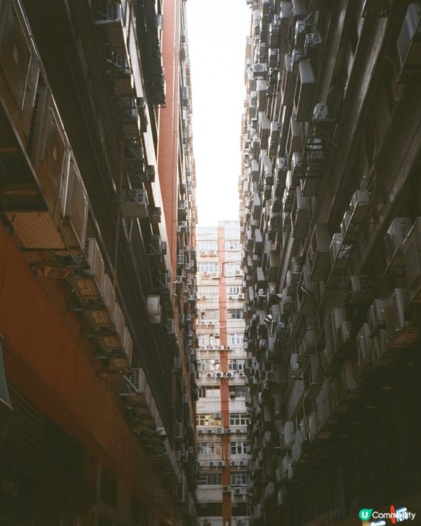 藍田夜景，台灣日出，麥當勞50週年