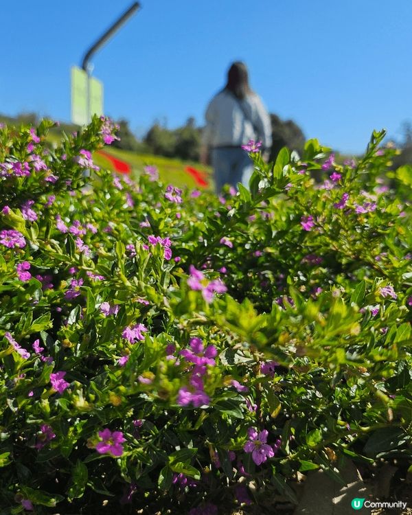 深圳人才公園，2個地鐵站中心后海或深大站，行去10mins左...