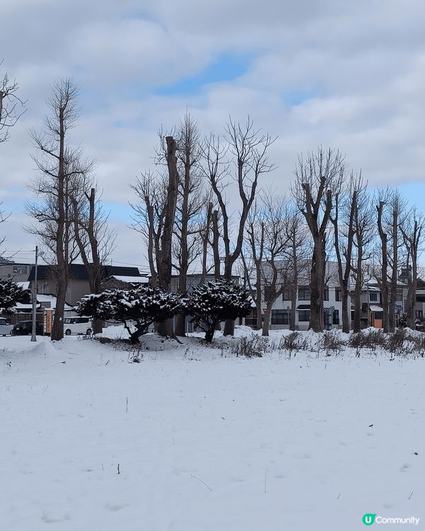 日本冬天可賞雪，晶瑩白雪；更可吃蟹，滿肚黃羔，視覺味覺都無以...