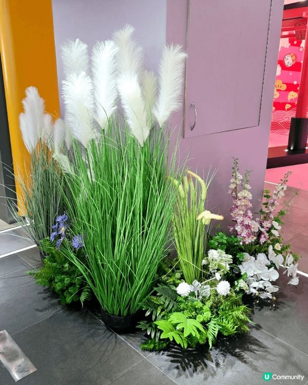 海港城facesss 新年花花世界，新年擺設好意頭，喜鵲年鶴...