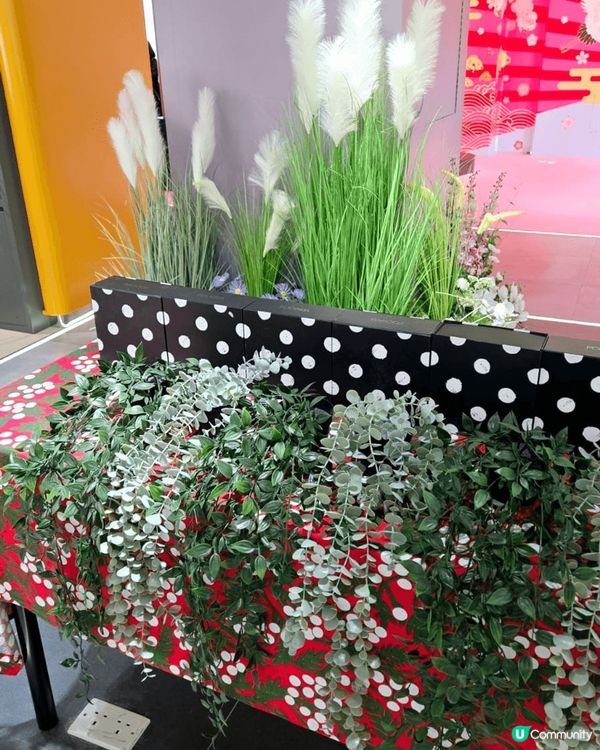 海港城facesss 新年花花世界，新年擺設好意頭，喜鵲年鶴...