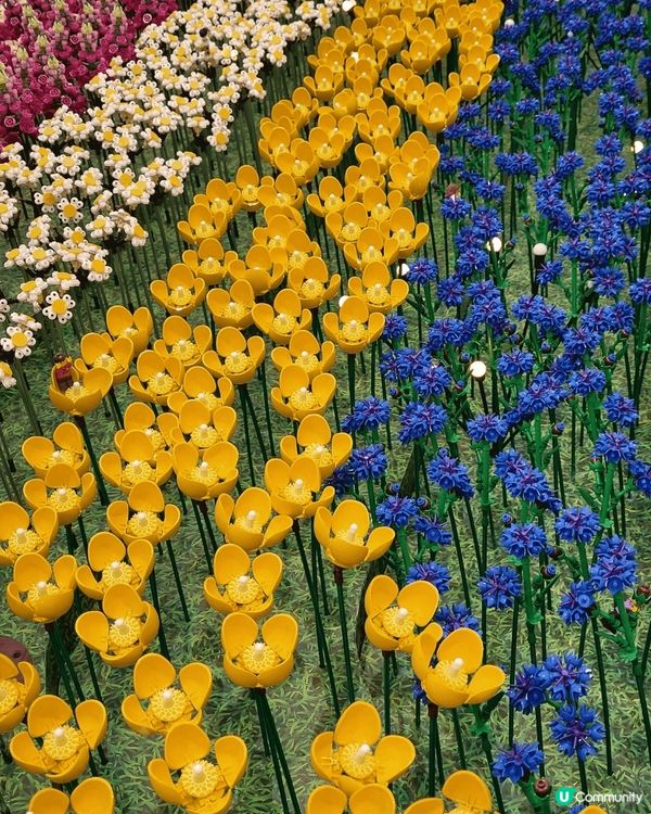 馬鞍山新港城中心，樂高春日開運花園，用好多Lego積木，砌成...