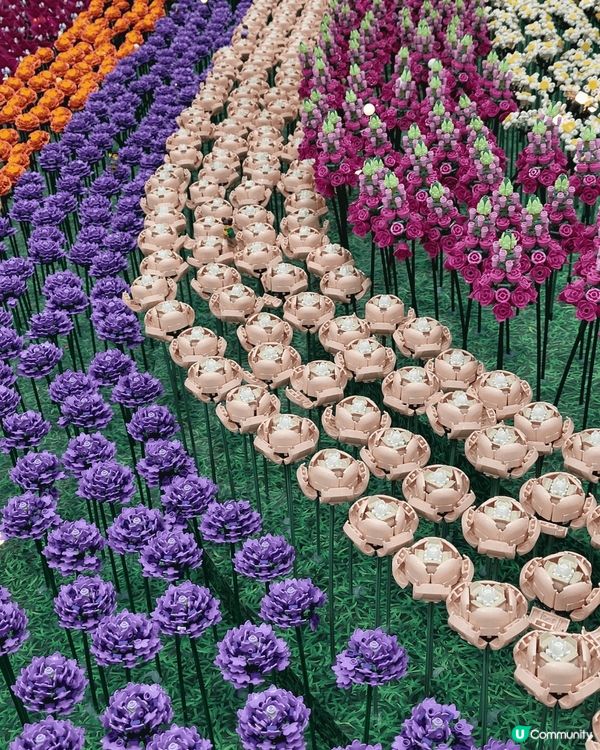 馬鞍山新港城中心，樂高春日開運花園，用好多Lego積木，砌成...