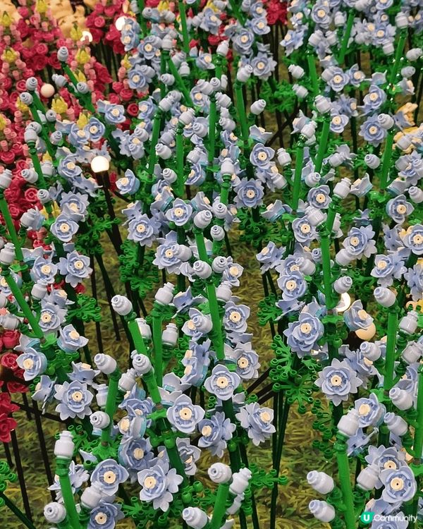 馬鞍山新港城中心，樂高春日開運花園，用好多Lego積木，砌成...