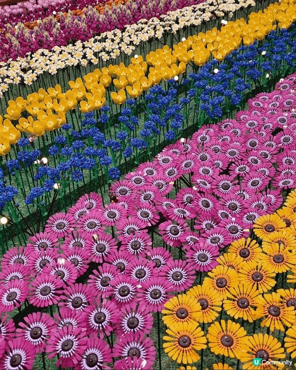 馬鞍山新港城中心，樂高春日開運花園，用好多Lego積木，砌成...