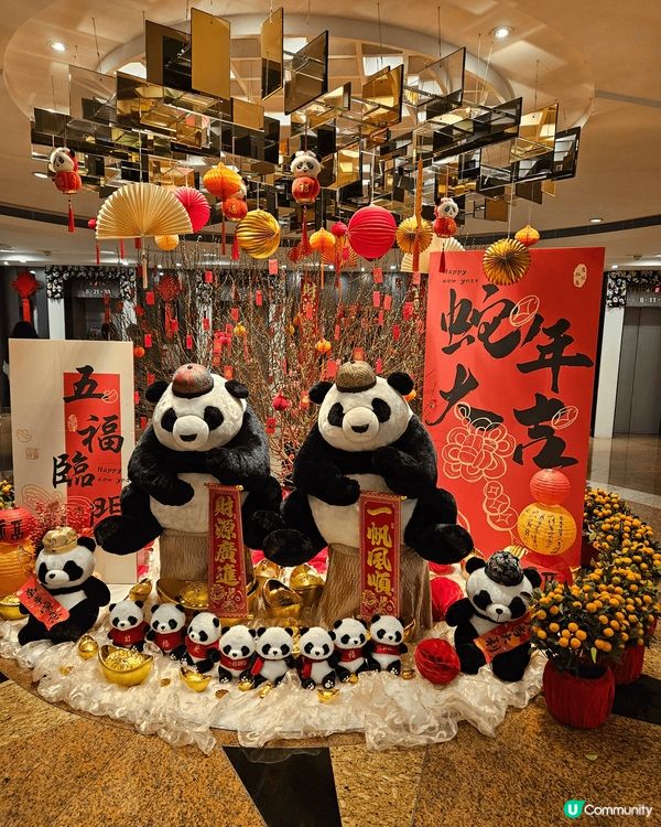 最愛熊貓，大家黎大窩口悦來酒店，好靚熊貓，7仔太多禮物換