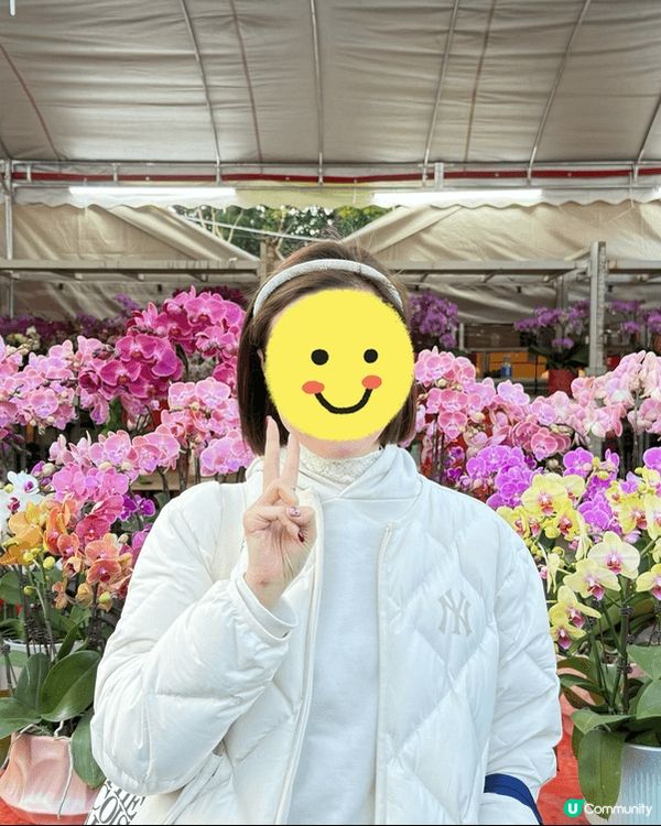 2025 維園花市 + 皇室堡