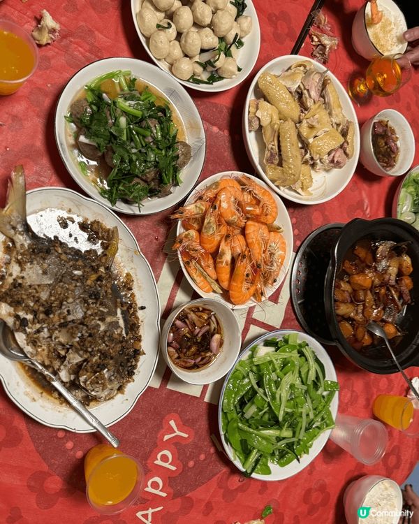 家人自家製的美食有鍋貼、蘿蔔糕，還有豐富的團年飯。新年自家製...