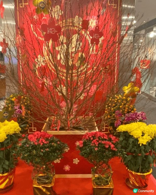 當然要食埋傳統中式菜啦