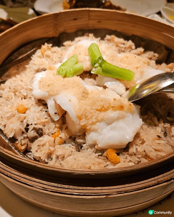 菜式選擇多，好睇又好食