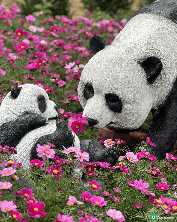 花開富貴，步步高陞